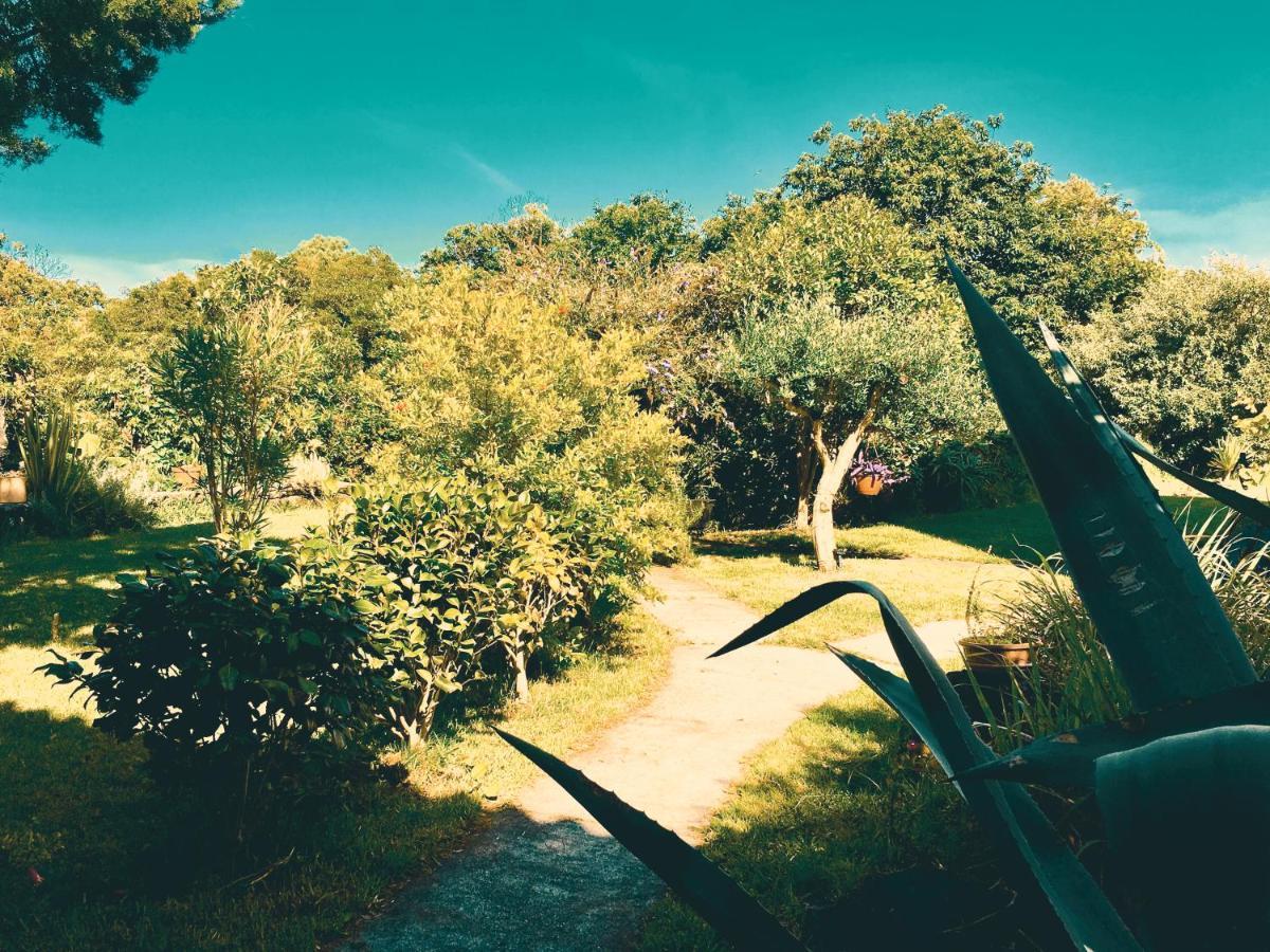 Quinta Das Almas São Roque do Pico Exterior photo