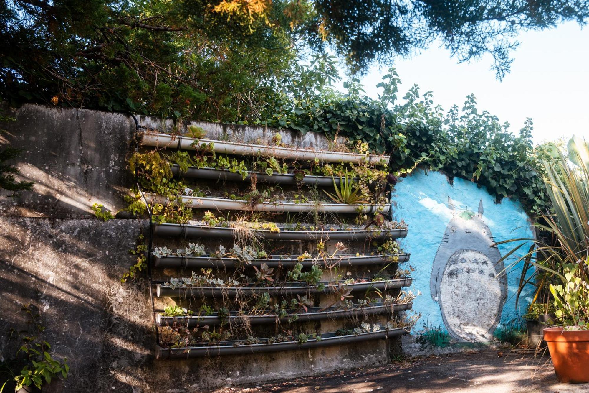 Quinta Das Almas São Roque do Pico Exterior photo